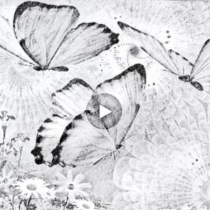 Meet your Posher, Luisa